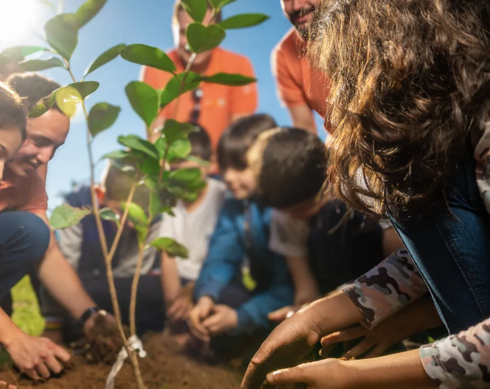 CBT celebra o Dia da Árvore com atividades especiais em Venâncio Aires e Araranguá