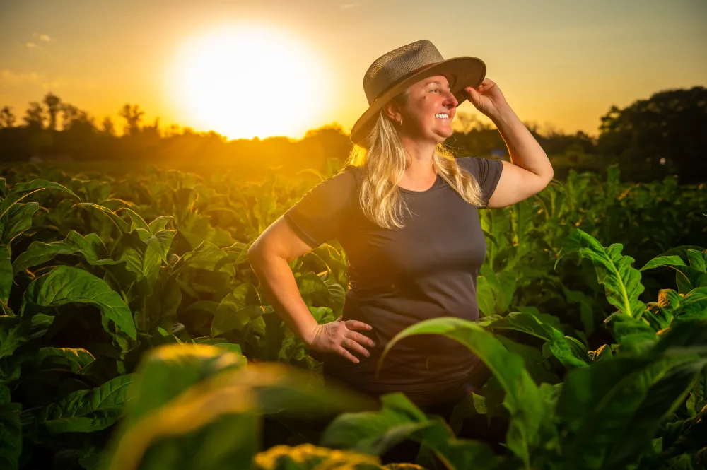 Com orgulho do que planta, Vonilsa celebra o Dia do Produtor de Tabaco Com orgulho do que planta, Vonilsa celebra o Dia do Produtor de Tabaco