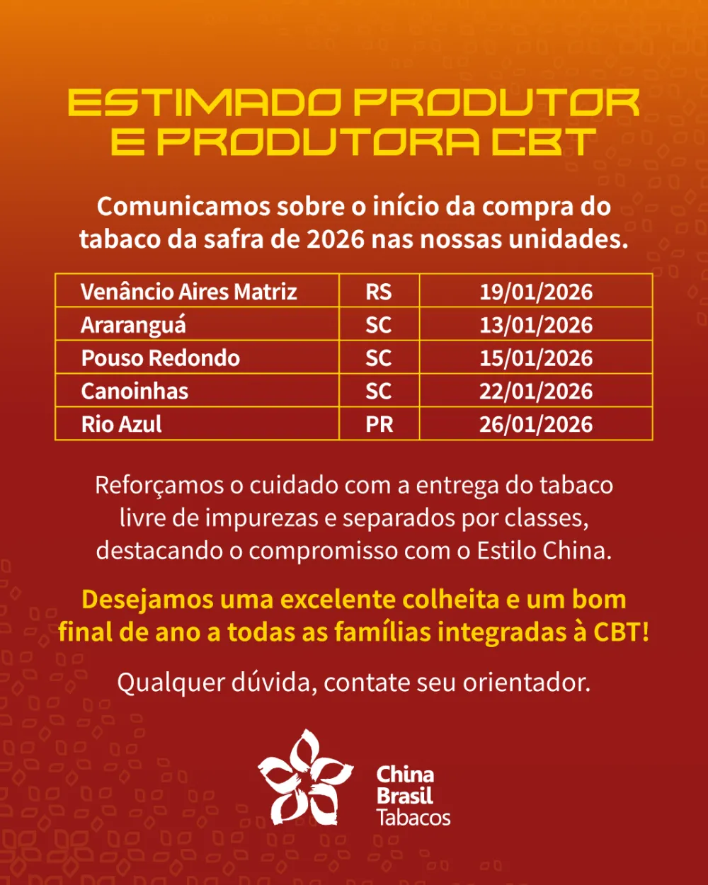CBT divulga calendário de início da compra de tabaco da safra 2026