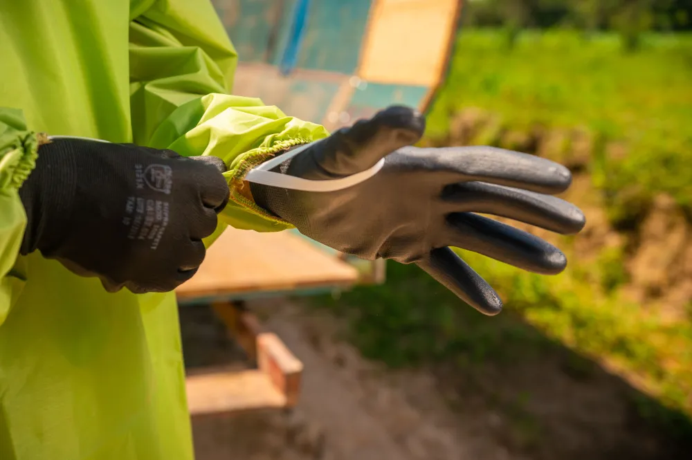 Sinditabaco reforça orientações de segurança para o manejo da lavoura